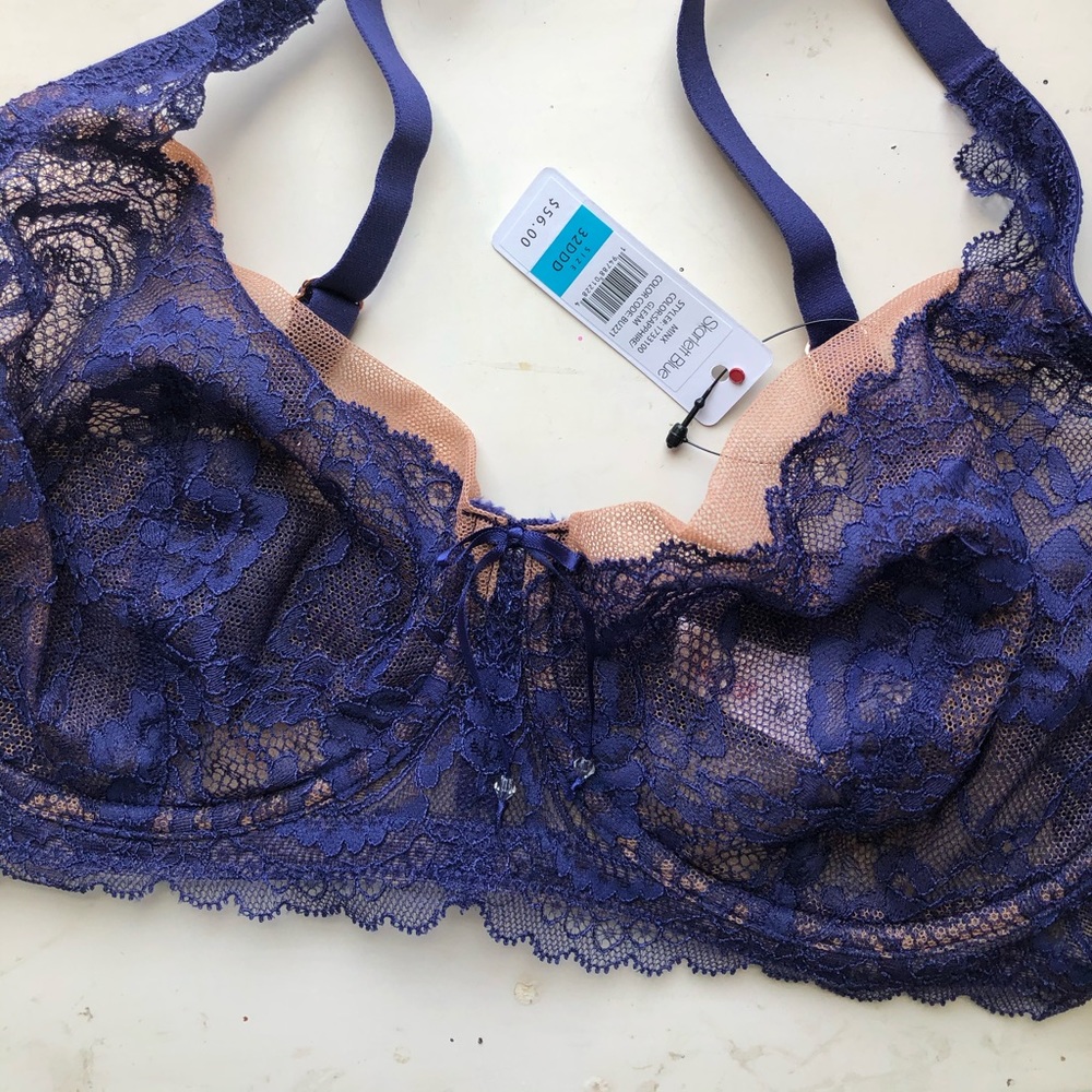 Skarlett blue bra